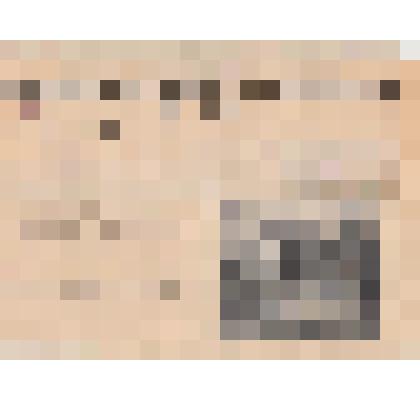 Фотонегатив репродукционный. "Дворец Петра I на Петровском острове в Санкт-Петербурге (с гравюры ХIХ в)"