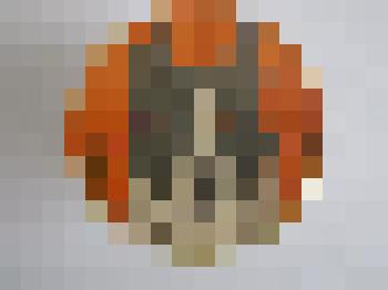 Значок "Русско-Европейская Лайка"