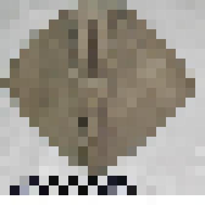 Предметы современных правоохранительных  органов,служб и тд. Пилотка солдатская защитного цвета.Состоит из 2-х стенок и 2-х бортиков