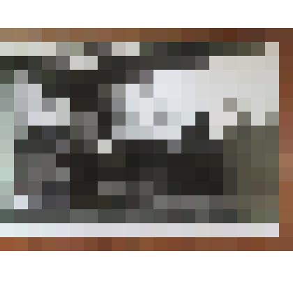 Фотография. Совещание в совхозе "Сотницынский"