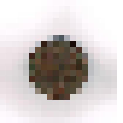 Монеты Российские. 2 копейки