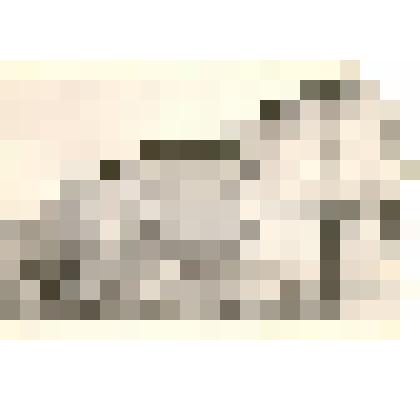 Фотография: строительство нового жилого микрорайона "Черемушки" в г.Камень-на-Оби Алтайского края