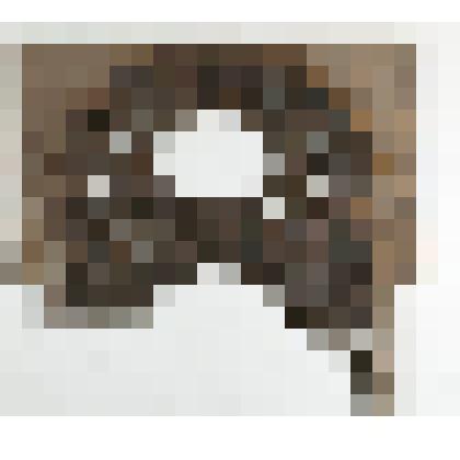 Сень от царских врат