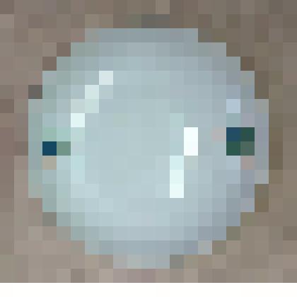 Блюдце фаянсовое круглой формы белого цвета