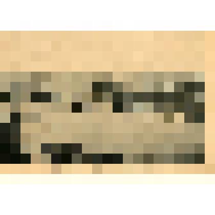 Лист. Вид города с Исторического бульвара. Из альбома "Виды Севастополя"