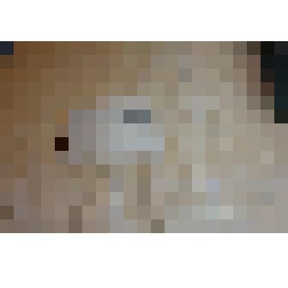 Книга. П.С.С. Шелера-Михайлова А.К. Издание 2-е Т.8 Голь