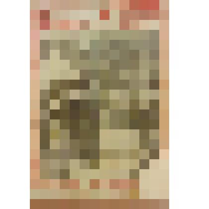 Книга. Свешникова Е. Франциск Ассизский [Text] / Рисунок А. Кившенко. - М. : Посредник, 1885 (Товарищество И.Д.Сытина)