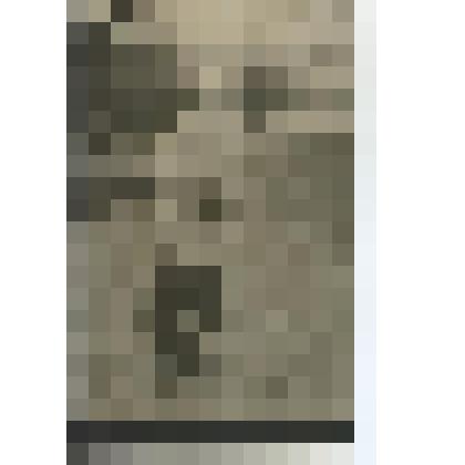 Открытка. Л.Н.Толстой. Репродукция с фото С.А.Баранова. 1908г