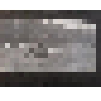 Л.Н. Толстой верхом около дачи «Козловка»