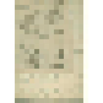 Документы периода  становления  Сольвычегодского  музея