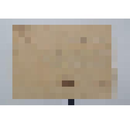 Благодарность Мальцеву Ивану Алексеевичу, мл. сержанту  за боевые действия в районе города Яссы, в соответствии с приказом Сталина от 22 августа 1944г