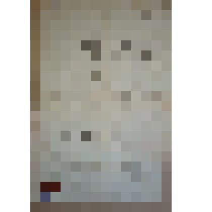 Документ. Свидетельство Почитаева Василия Григорьевича об окончании В.Уфалейского начального народного училища