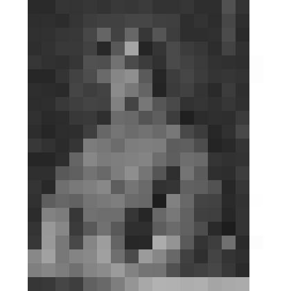 Портрет кардинала Джулио Медичи