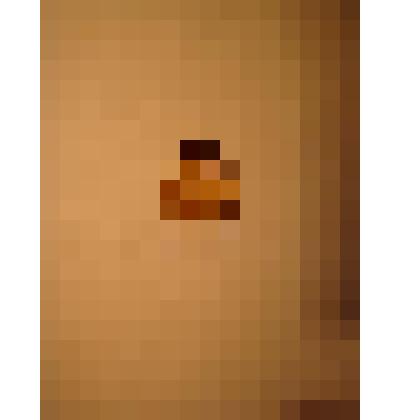 Жетон с изображением Л.Н.Толстого