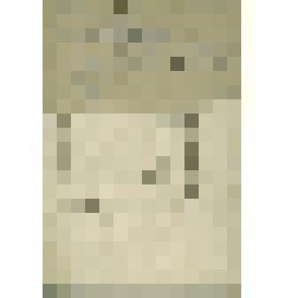 Реестр  докладной  Сольвычегодского  Духовного  правления