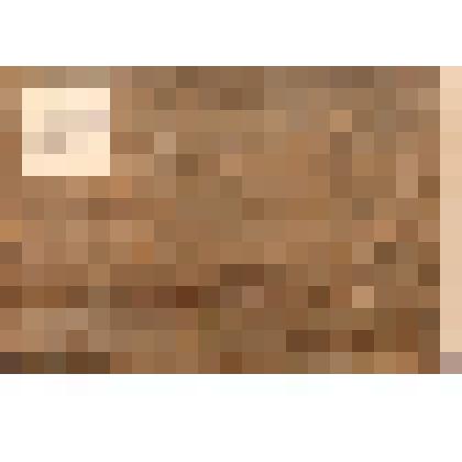 Первый автомобиль в Нижнем Новгороде