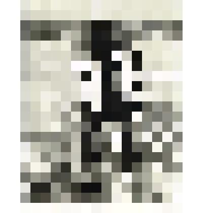 Фотография. Охотник