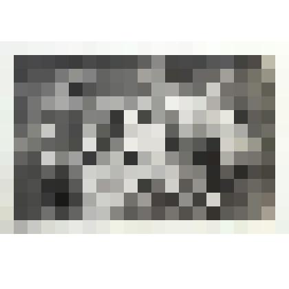 Фотография работников Пронского районного финансового отдела