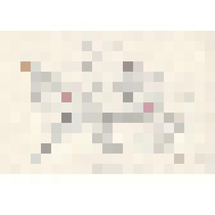 "Фиолетовый турано Западной Африки"