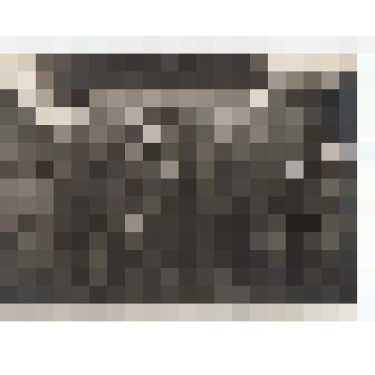 Ф/чб. Офицеры 148-й стрелковой дивзии и корпуса (Васин Н.Г., Мищенко А.А., Зорин А.С., Фомин В.С. и другие). Тернополь. 11.06.1944