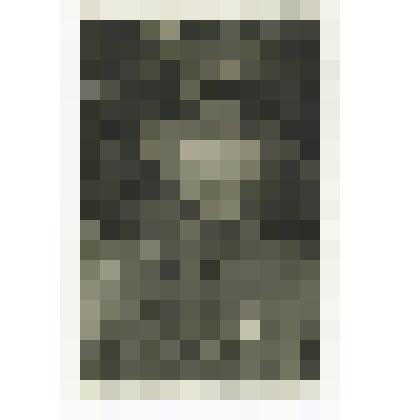 Фотография ч/б. Грязнов А.С., полковник, командир 7 гвардейской стрелковой дивизии