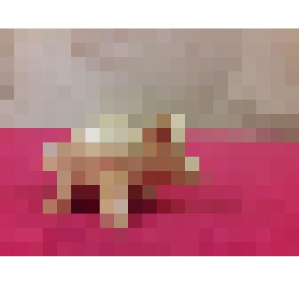 Свистулька. Литовцы