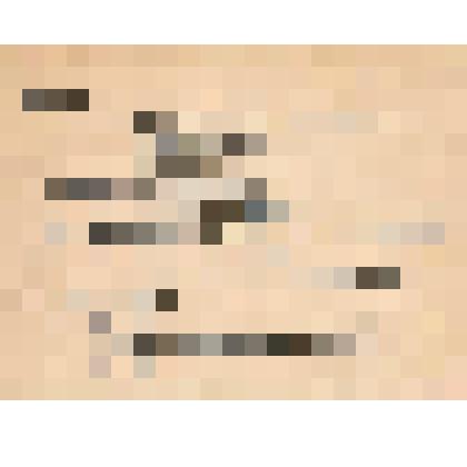 Документ. Выписка из решения № 890 заседания Исполнительного комитета Ивановского областного Совета депутатов трудящихся об объявлении благодарности Белопухову С. С., учителю географии средней школы № 3 г. Кинешмы Ивановской области. Из коллекции материал