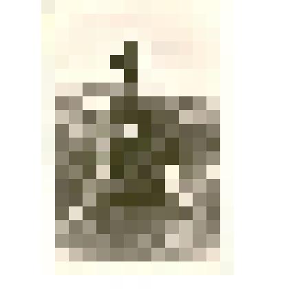 Фотография. Митинг в г.Камне-на-Оби, посвященный дню рождения В.И.Ленина