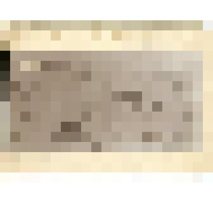 Фотография. План рекогносцировочной съемки месторождений железа, разрабатываемых инородцами Якутской области и план якутской печи-горка