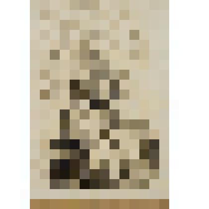 Турчанка с бубном