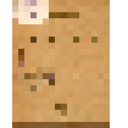 Брошюра. Мстители