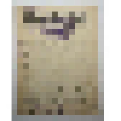 Книга. Вредители и болезни сада и меры борьбы с ними. 17-я ф-ка национальной книги Огиза РСФСР треста "Полиграфкнига"