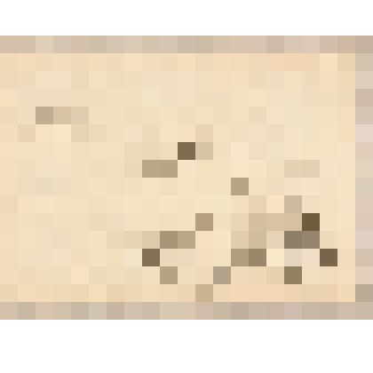 Куницы. из альбома  «190 пейзажей; зарисовки, иллюстрации, карикатуры»