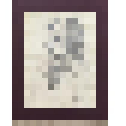 Графическая работа. Портрет брата