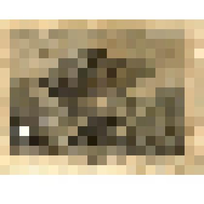 Вид под Дрезденом (с оригинала Вагнера)