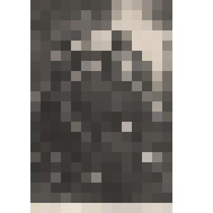 Фотография. Шитиков Степан Яковлевич в группе с танкистами