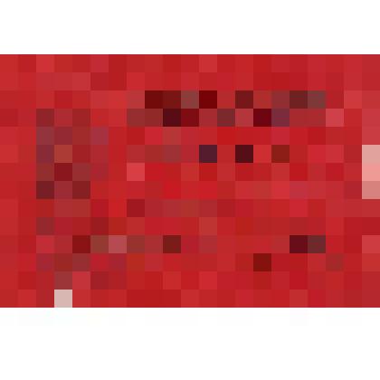 Документ. Мандат № 234 на XVI В.Уфалейскую городскую партийную конференцию Пожелуевой А.В. 15.11.1960