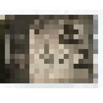 Ф/чб. Экспозиция Центрального музея АССР НП: стенды в рамках на стене "Голод в Поволжья, "Бандитизм, "Дискуссия о профсоюзах", "Х Съезд РКПб" и др. Энгельс. 1941