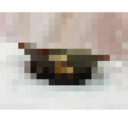 Фуражка с лаковым козырьком офицера