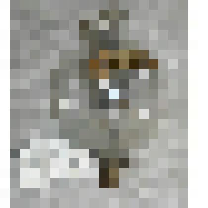 Триод Ли де Фореста