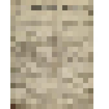 Газета. Русское знамя. № 246 (2 л.;)