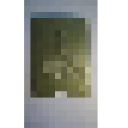 ПортретА.П.Чехова. Барельеф на картоне