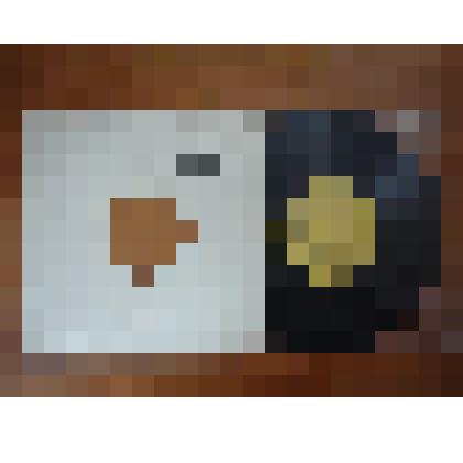 Грампластинка- фонохрестоматия по истории СССР выпуск 2