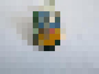 Значок "Зенит"