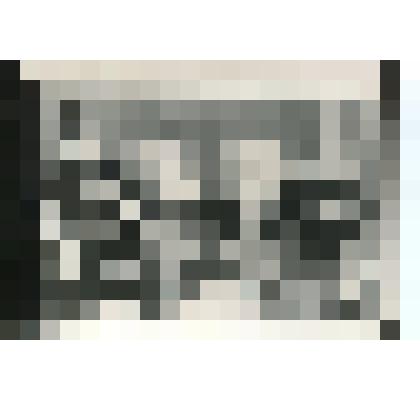 Фото (копия). Друзья И.В. Зуева на карнавале