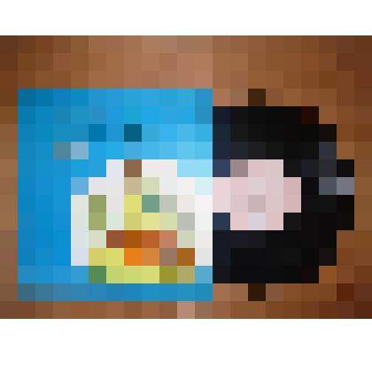 грампластинка