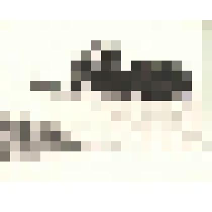 Фотография. Уборка хлеба на полях ЗАО "Нива"