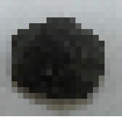 Палеонтологический образец.
 Раковина моллюска Gresslya alduni.
 Тип Mollusca (моллюски).
 Класс Bivalvia (двустворчатые).
 Из палеонтологической коллекции Трунтаева Павла Ивановича (1873-1940), художника, педагога, директора кинешемского краеведческого м