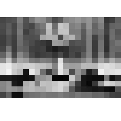 Фото ч/б. Торжественное собрание в зале Дворца Культуры, посвященное вручению знамени. Март 1985 г