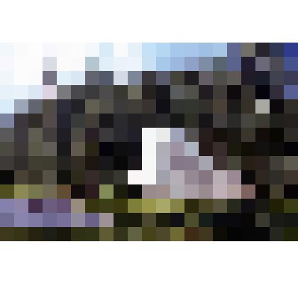 Диапозитив. Рубеж обороны. (177)